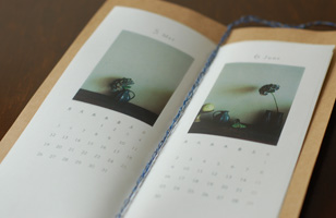 花市 2008