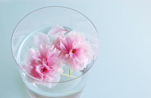 八重桜