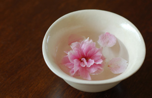 八重桜