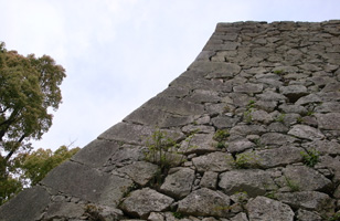 PH