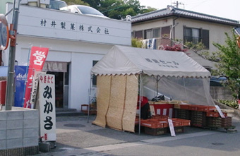 덹W