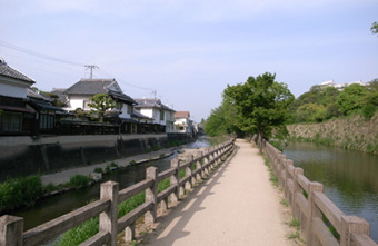 덹W