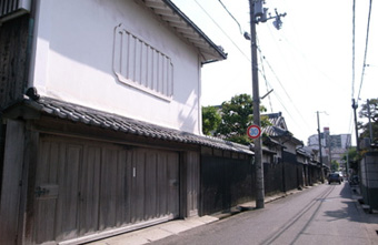 덹W