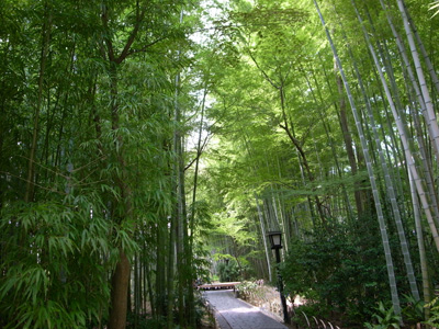伊豆修善寺