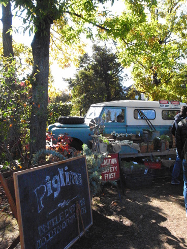 Go Green Market